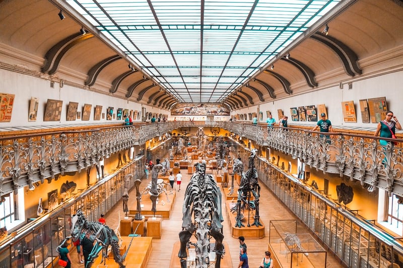 Dinosaurs